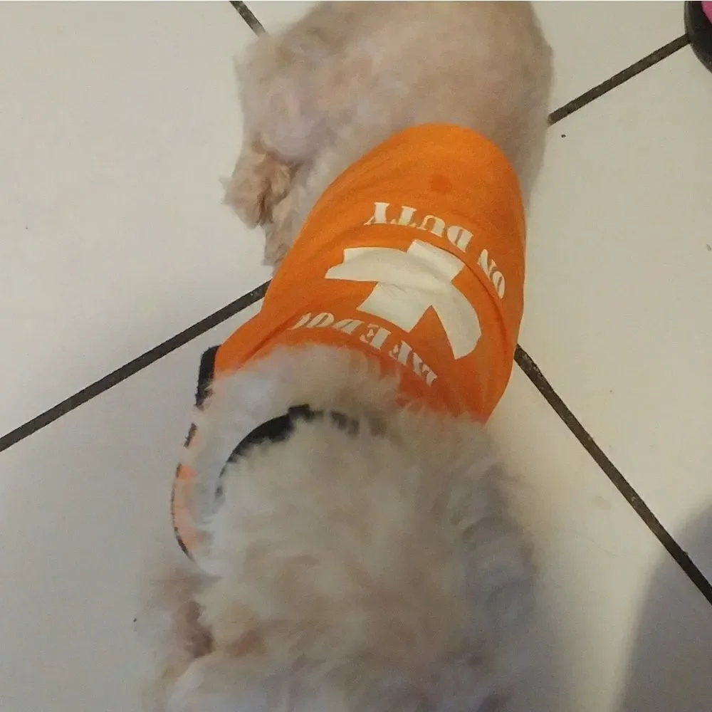 Smedium Doggie top